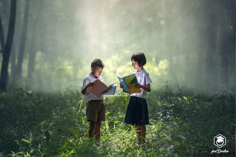 Duas crianças lendo livros em uma floresta sob um faixo de luz